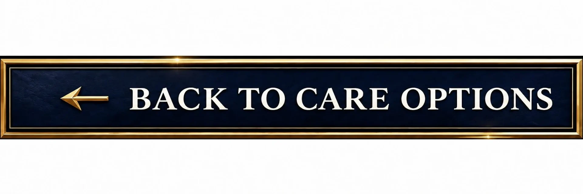 ← Back to Care Options